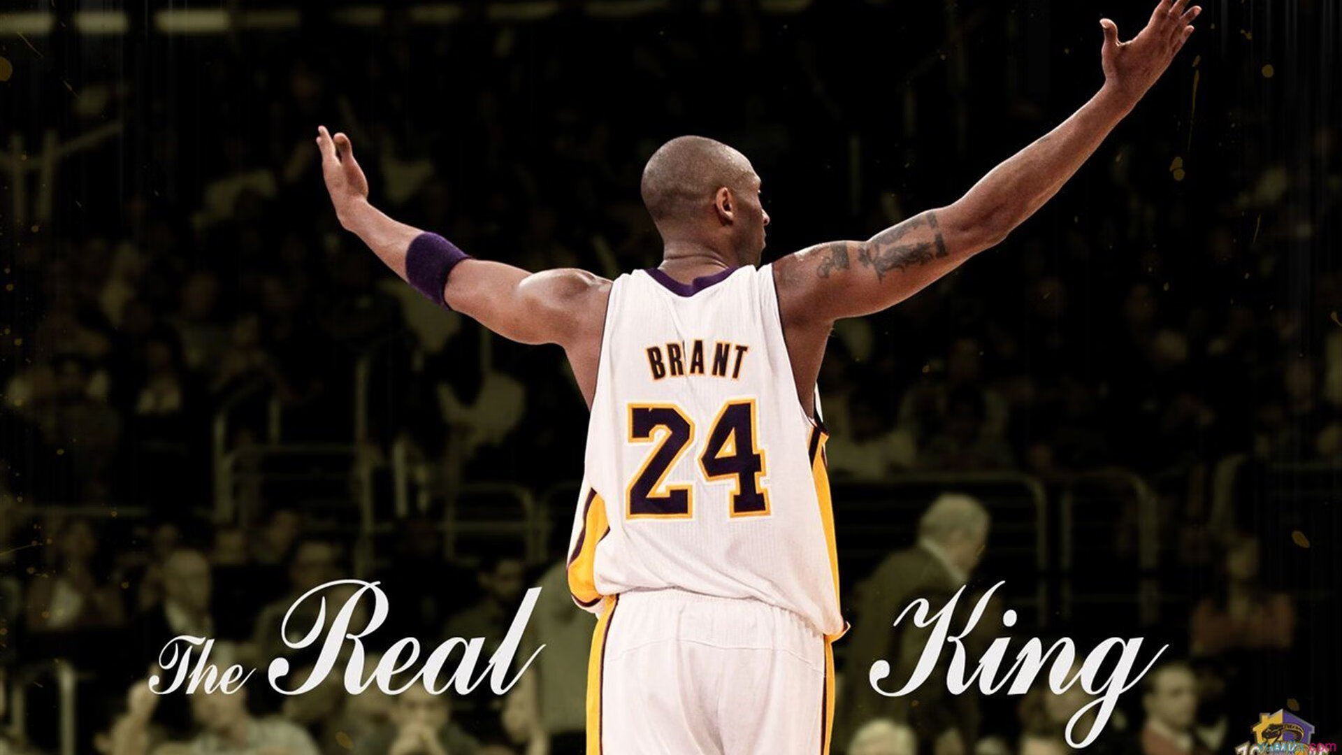 詹姆斯赛季新高引爆全场，詹姆斯个人赛季新高