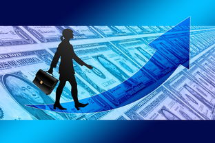 爱游戏app-女子赛事门票收入创新高，商业赞助进一步跟进，女子锦标赛